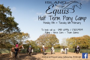 Island Equus febhtflyer2016